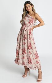 Anya Maxi Dress In Pink Floral | Showpo
