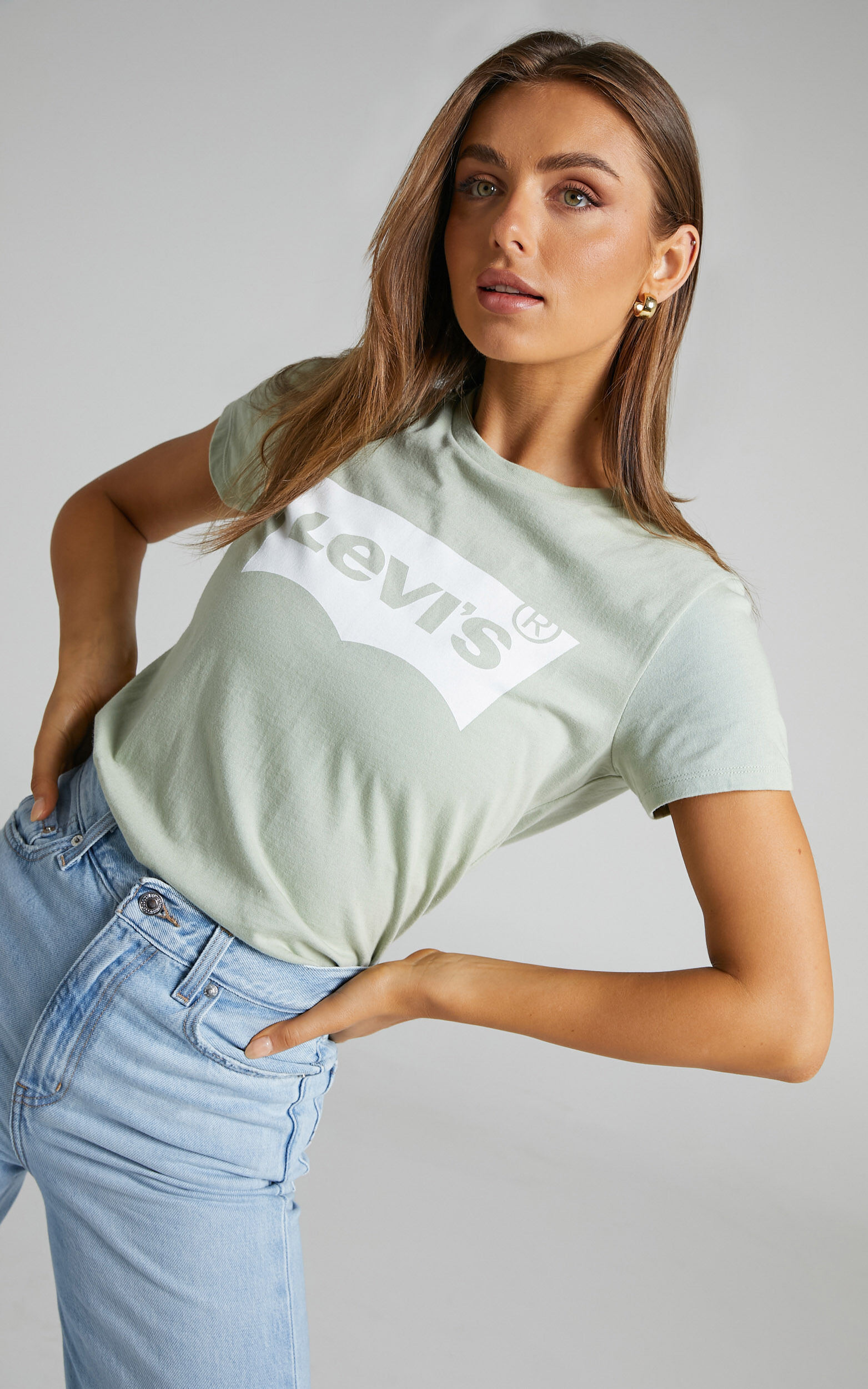 Levi's - The Perfect tee in Desert Sage - L, GRN1, super-hi-res image number null
