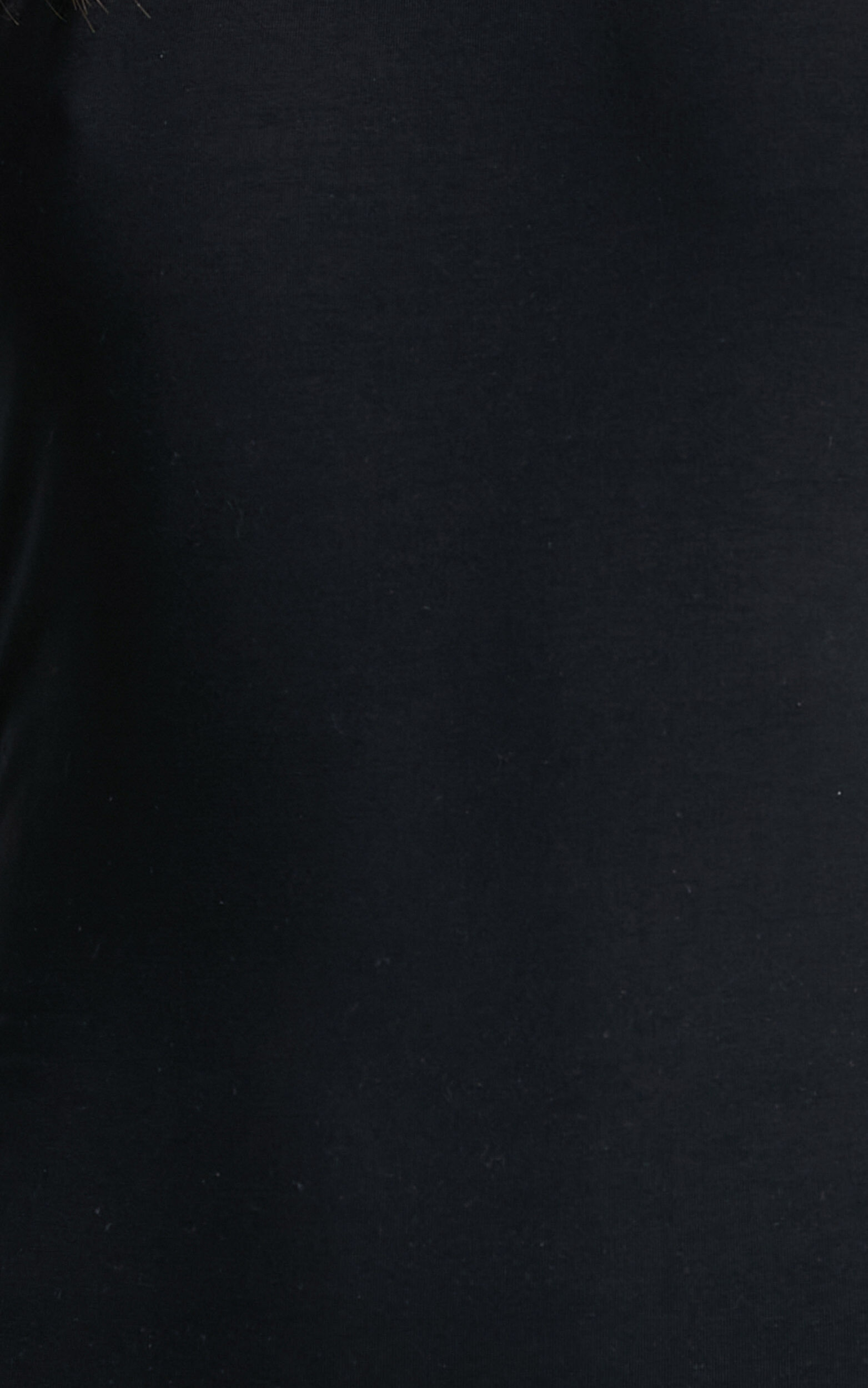 Palmerston Bodysuit in Black | Showpo USA