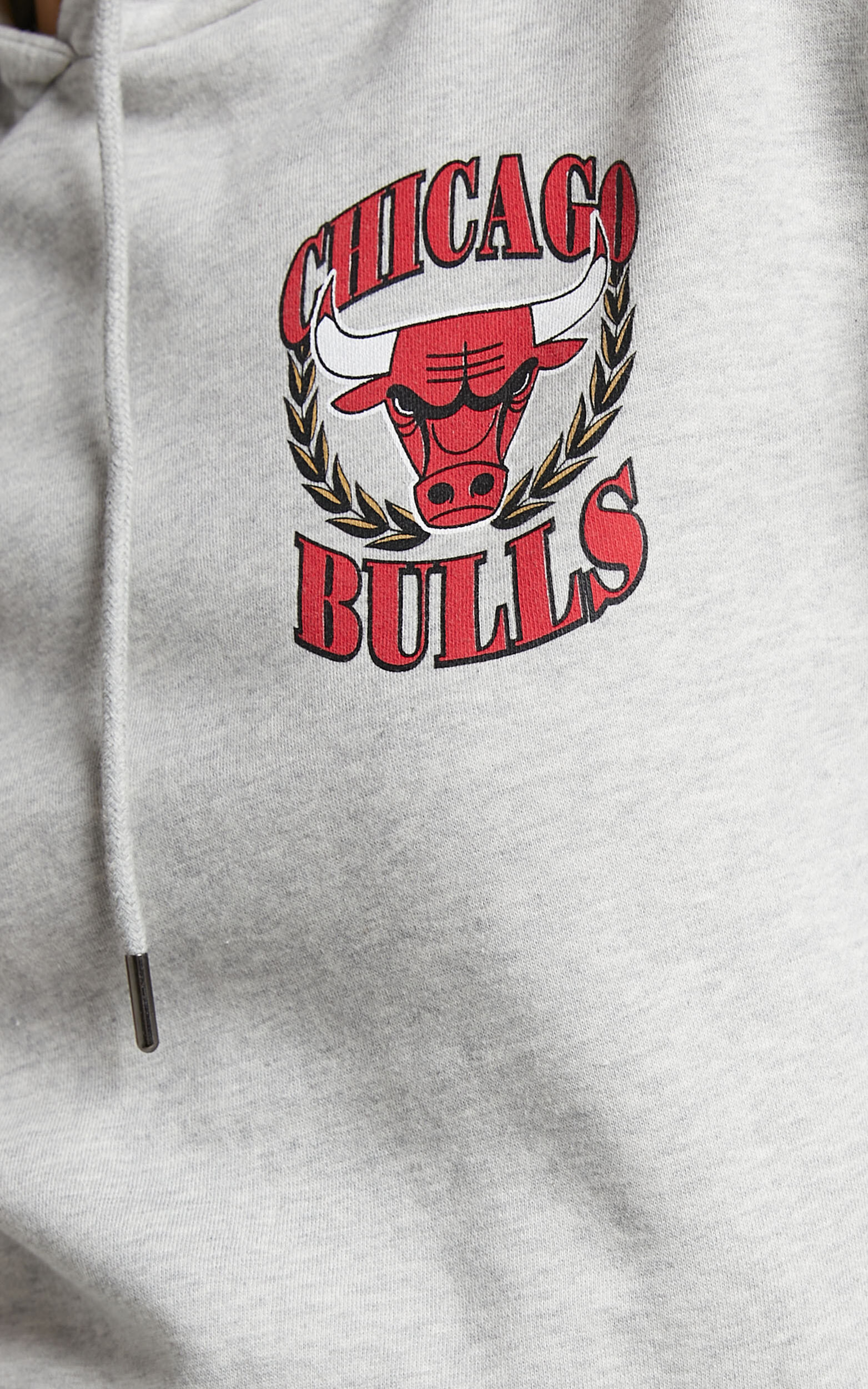 Chicago Bulls Hoodie, Chicago Bulls Logo Hooded Sweatshirt – MBT