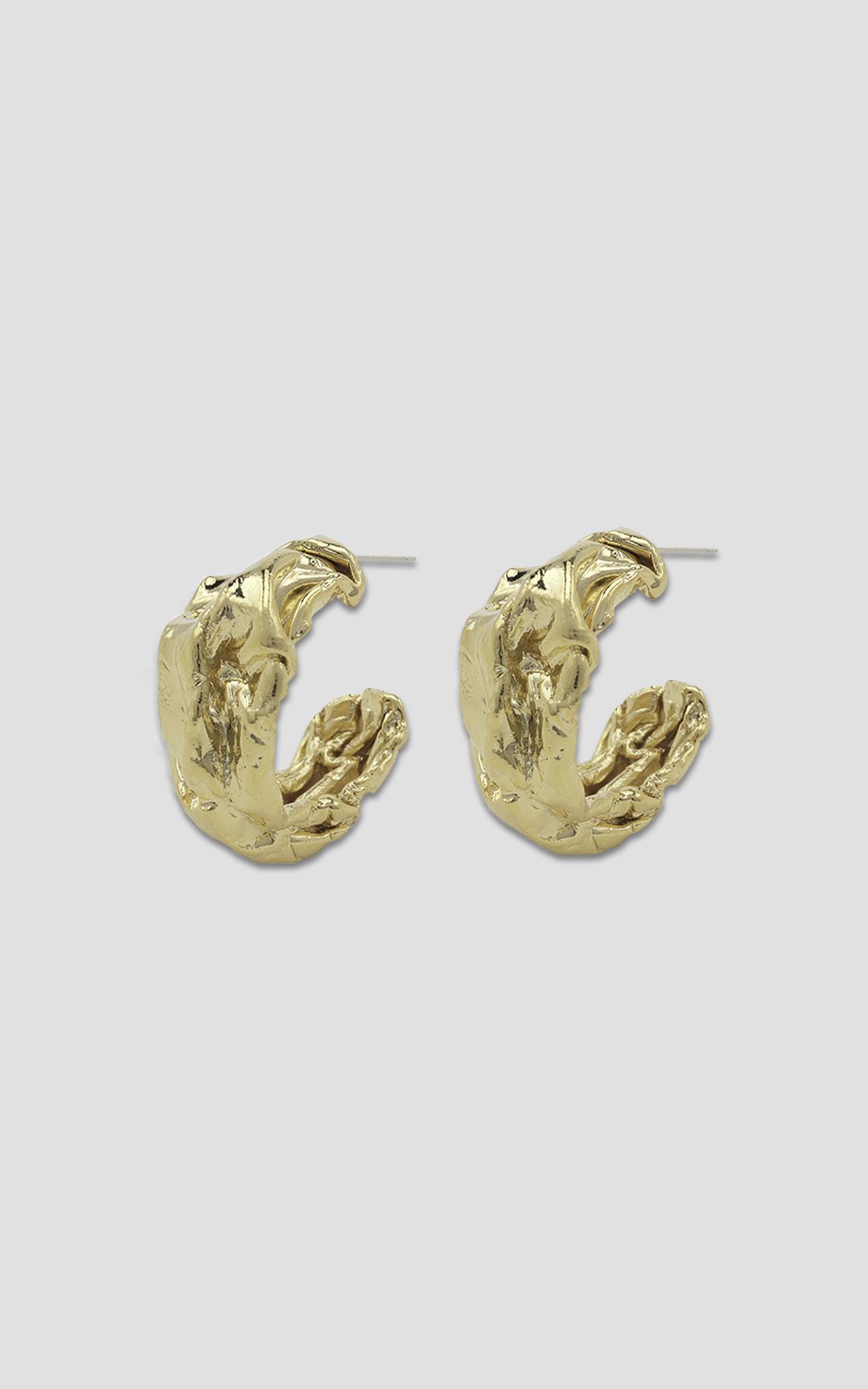 Jolie & Deen - Frankie Hoop Earrings in Gold, , hi-res image number null